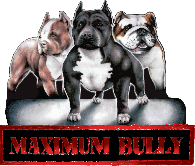 Maximum bully canned top dog food