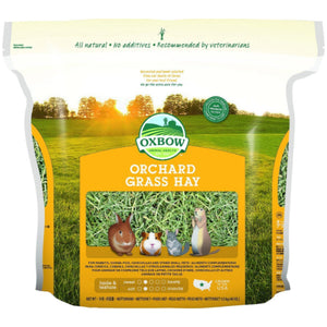 Oxbow Orchard Grass Hay Small Animal Food, 40-oz
