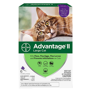 Advantage II for Cats Over 9 lbs. 6 Pack