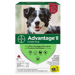 Advantage II Dog Large 21‐55 lbs. 6 Pack