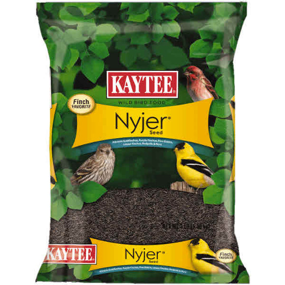 Kaytee Nyjer Seed Wild Bird Food 3-lb